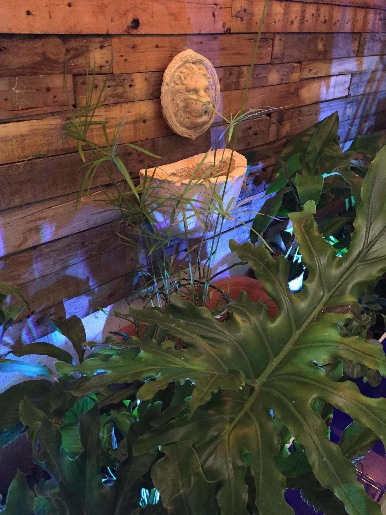 מלון סנטו דומינגו Jardines Del Teatro מראה חיצוני תמונה